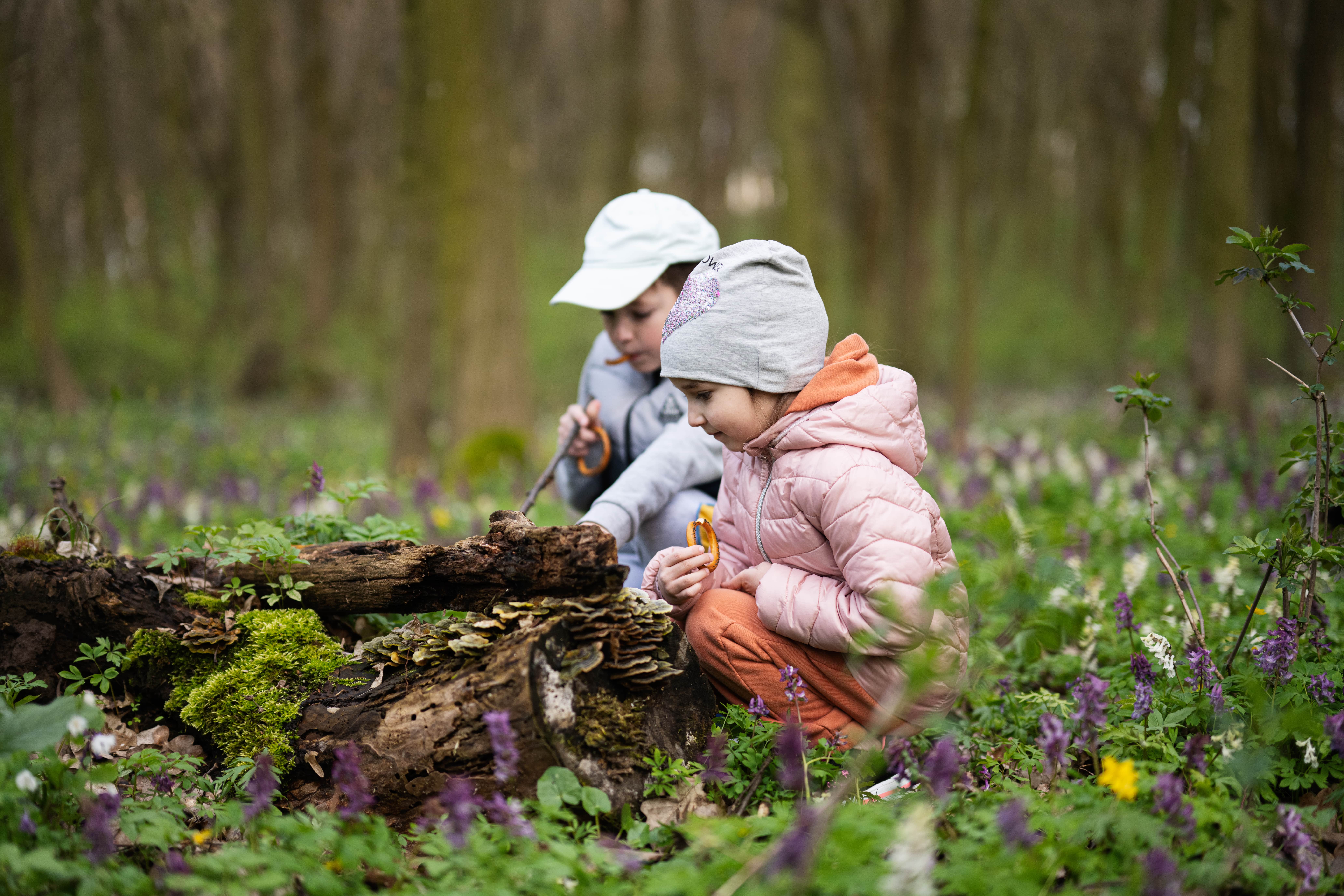 Two children crouching by a log observing wild mushrooms in the forest, enjoying the benefits of outdoor play for children. 